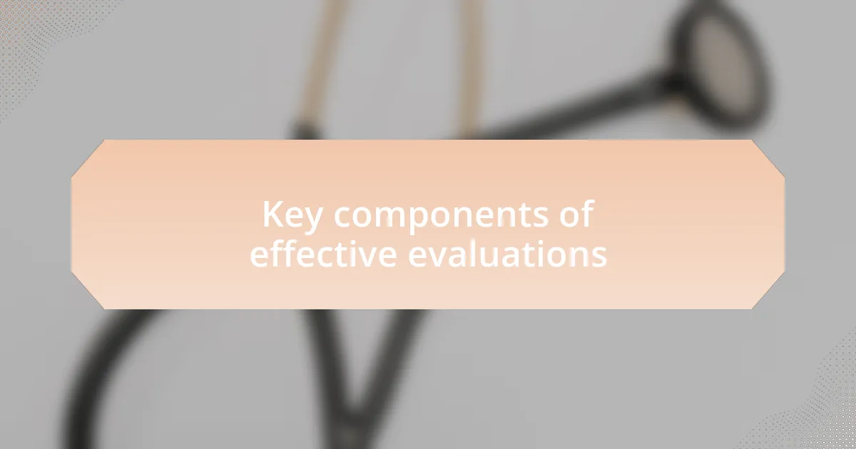 Key components of effective evaluations